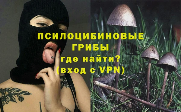 mix Бородино
