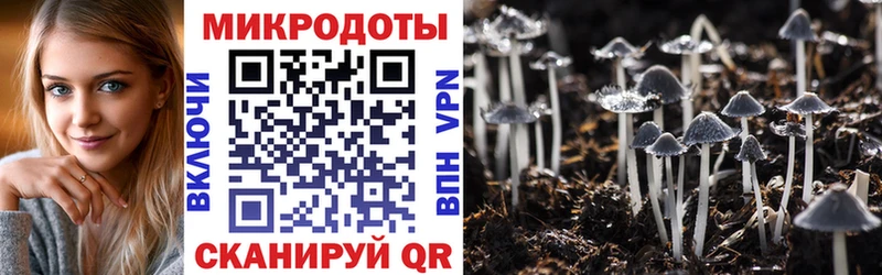 где найти наркотики  Томари  Псилоцибиновые грибы ЛСД 
